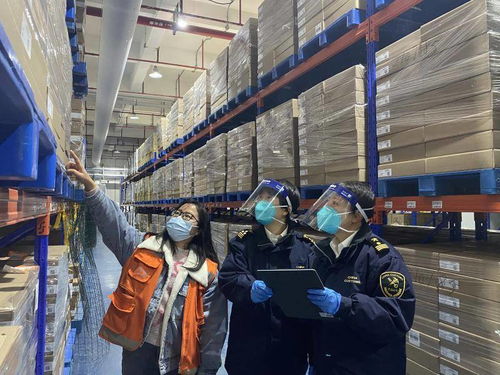 打造綜合服務鏈，廣州海關助力大灣區生物醫藥產業聚集與醫療器械經營創新